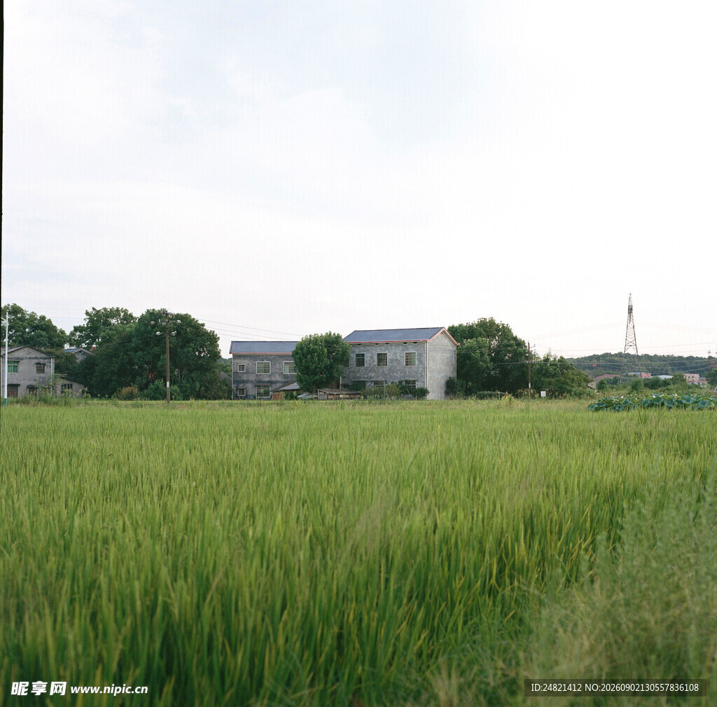 田野风光中的乡村建筑