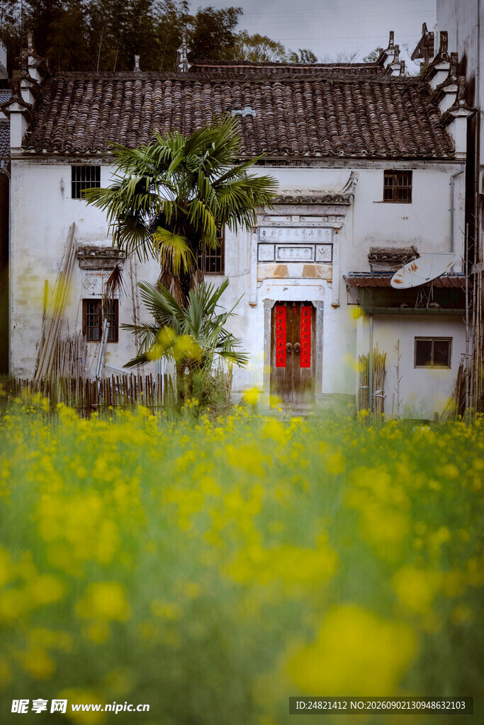 春日乡间白墙红门油菜花景