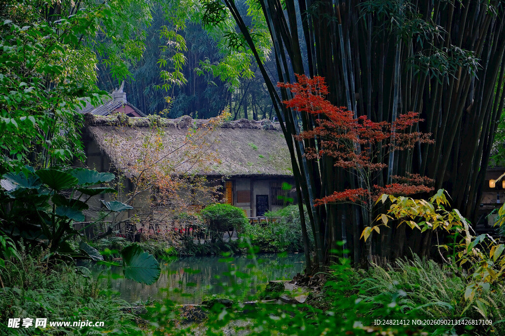 竹林中的古朴小屋