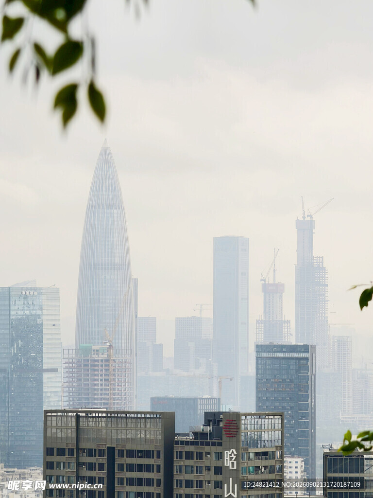 雾中都市高楼景观