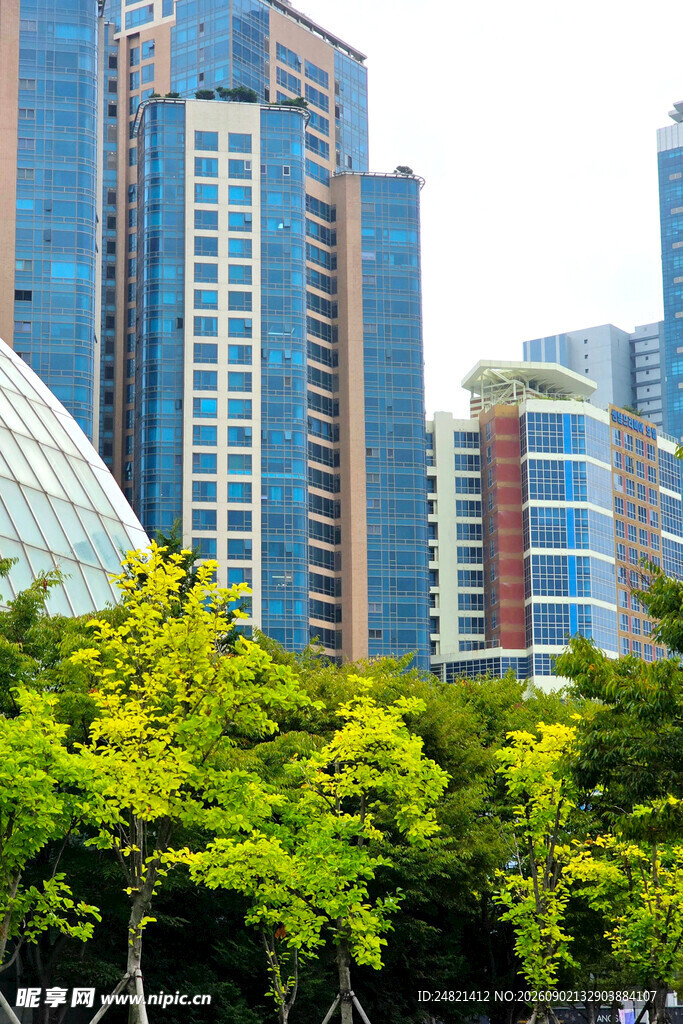城市绿树与高楼景观