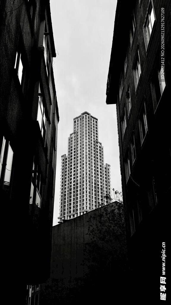 城市楼宇剪影