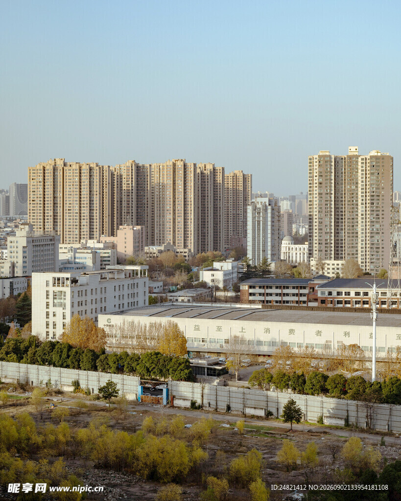城市远景中的高楼与植被