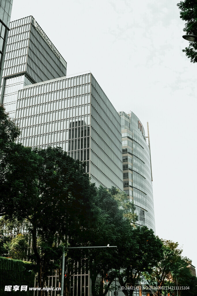 现代都市高楼与绿植景观