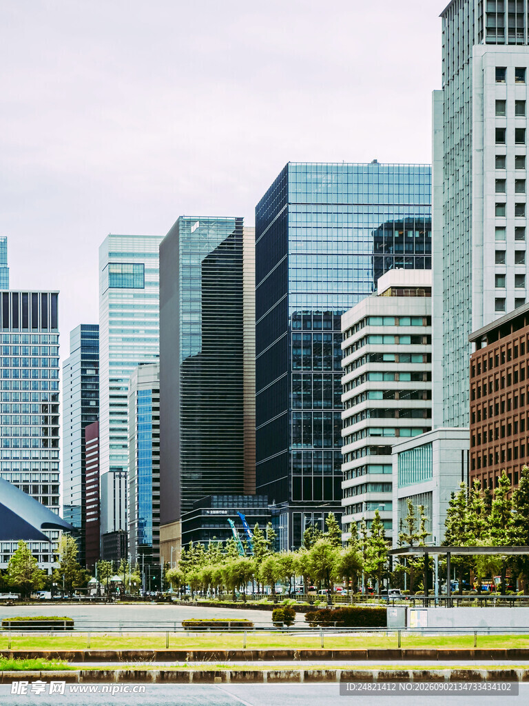 现代都市高楼林立景观