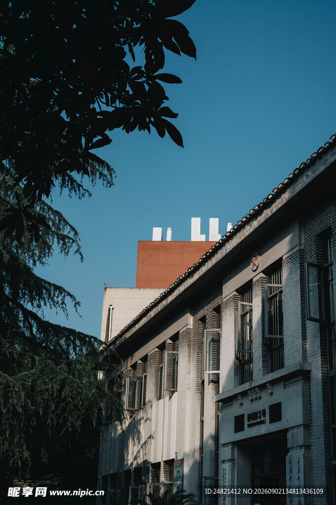 老旧建筑与绿植相映成趣