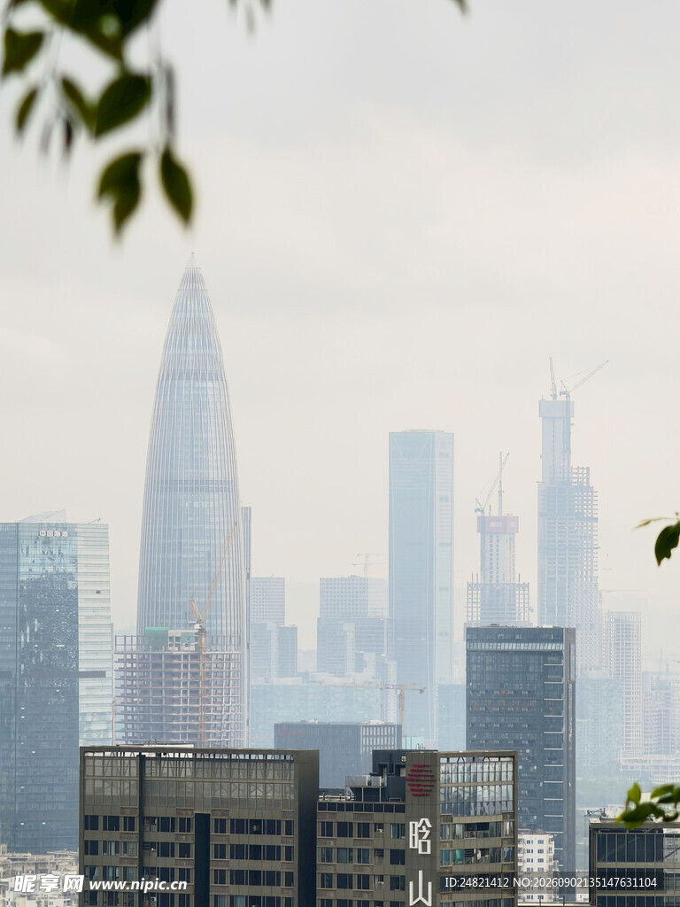 雾中都市高楼景观