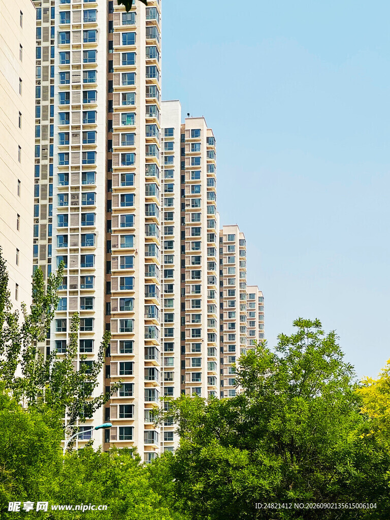 城市高楼与葱郁绿树景观