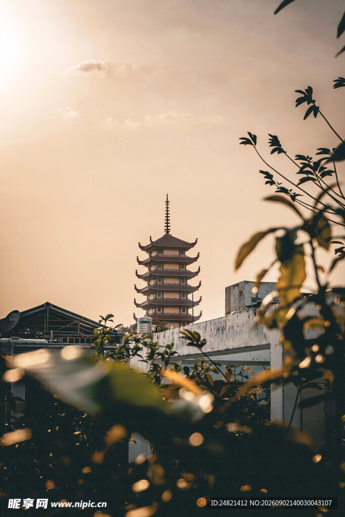 夕阳下的古塔与繁茂枝叶