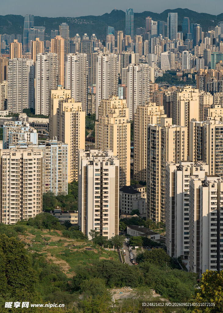 城市林立高楼与绿地景观