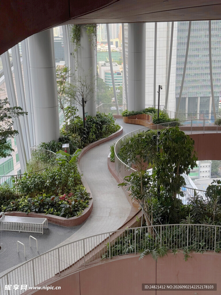 室内蜿蜒绿植景观步道