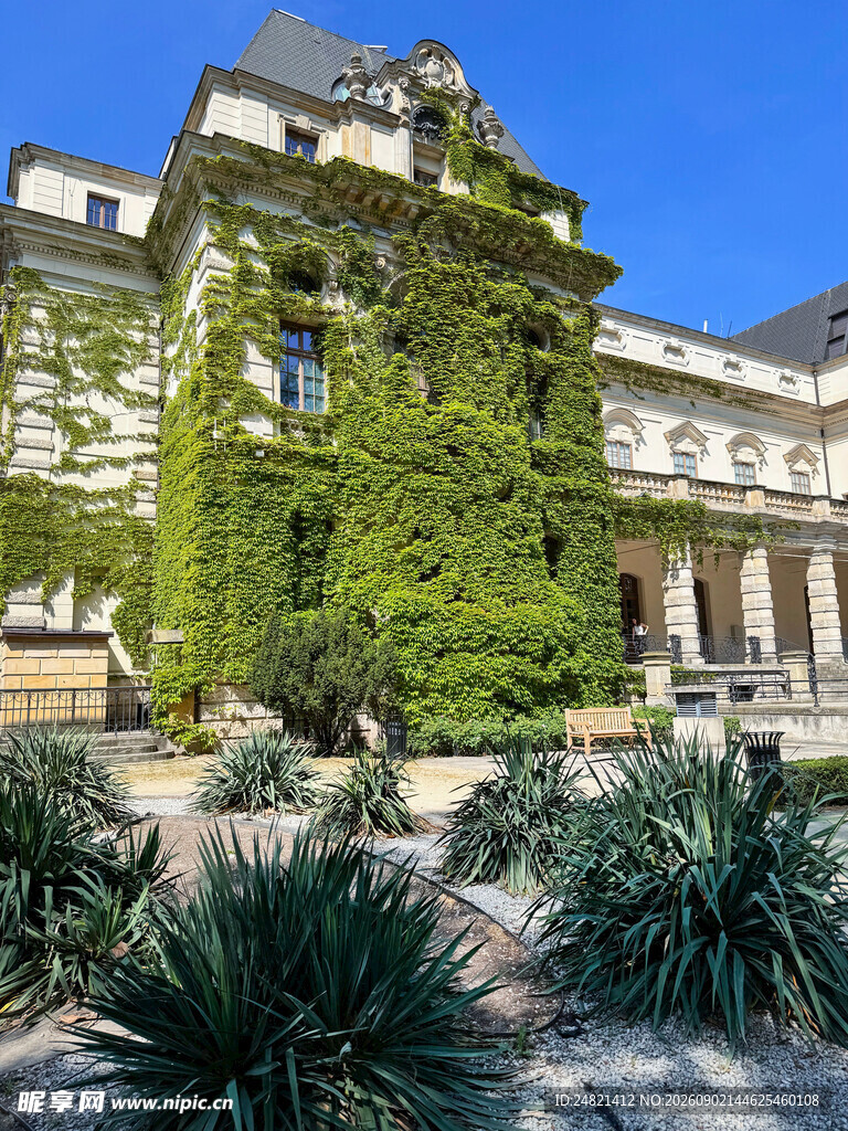 爬满绿植的古典建筑外观