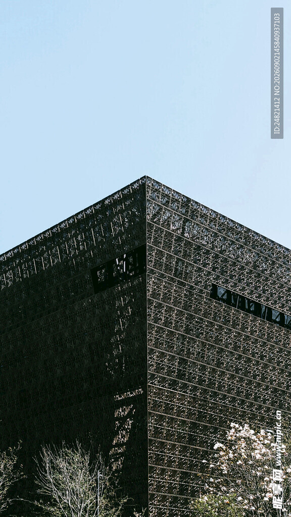 现代几何造型黑色建筑外观