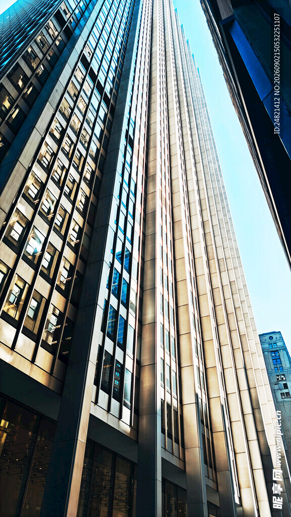 都市高楼林立景观