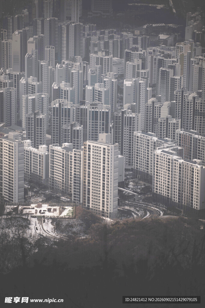 雾中林立的城市建筑群