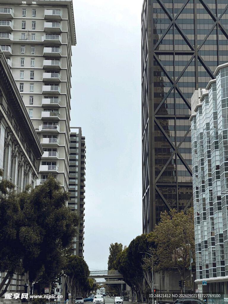 城市街道旁的高楼建筑