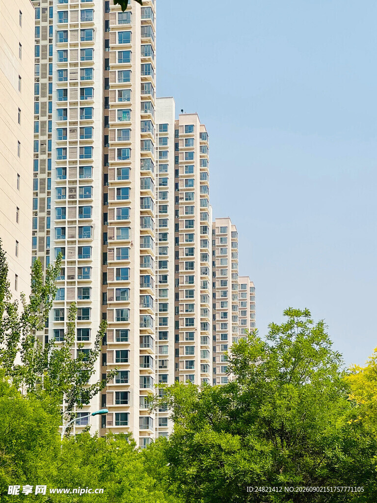 城市高楼与葱郁绿树景观