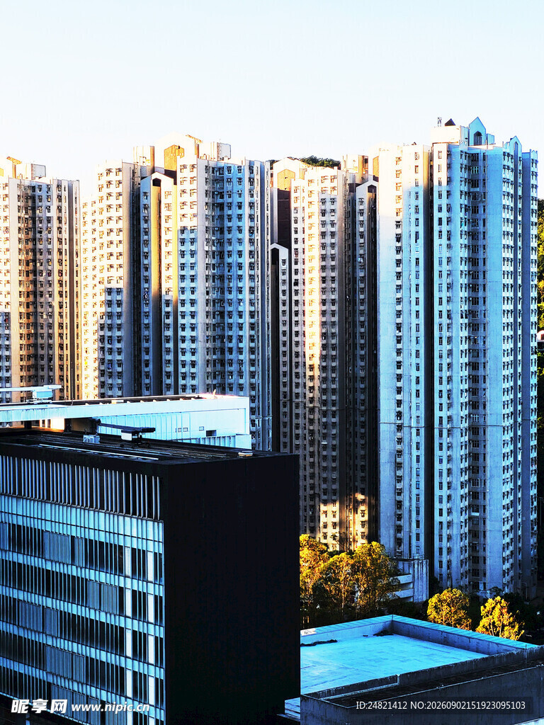 城市高楼景观