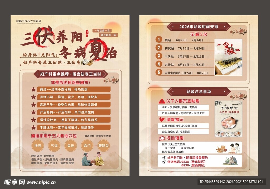 三伏贴宣传单