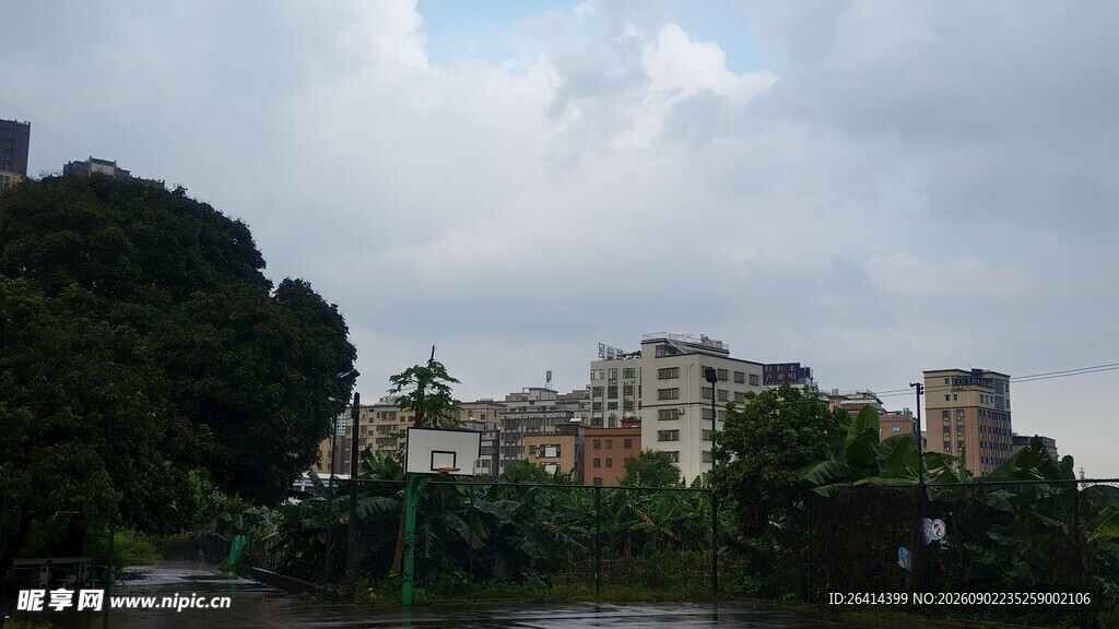 城市绿树环绕的建筑群