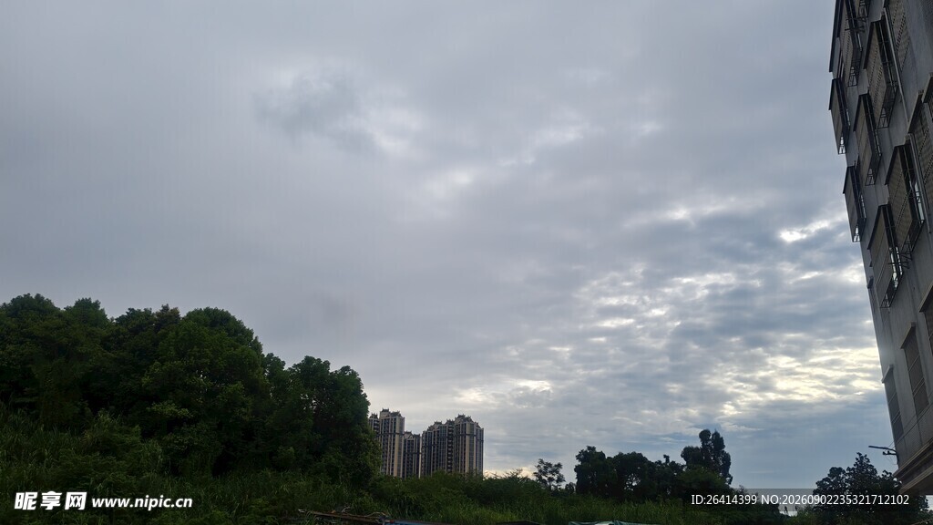 城市边缘的天空与绿树