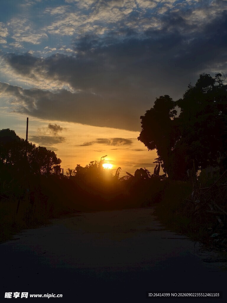 夕阳下的林间小路