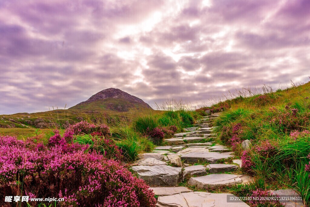 山间花径漫步诗意美景