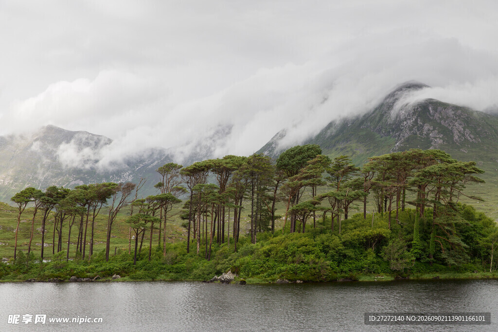 云雾缭绕的湖畔山林美景