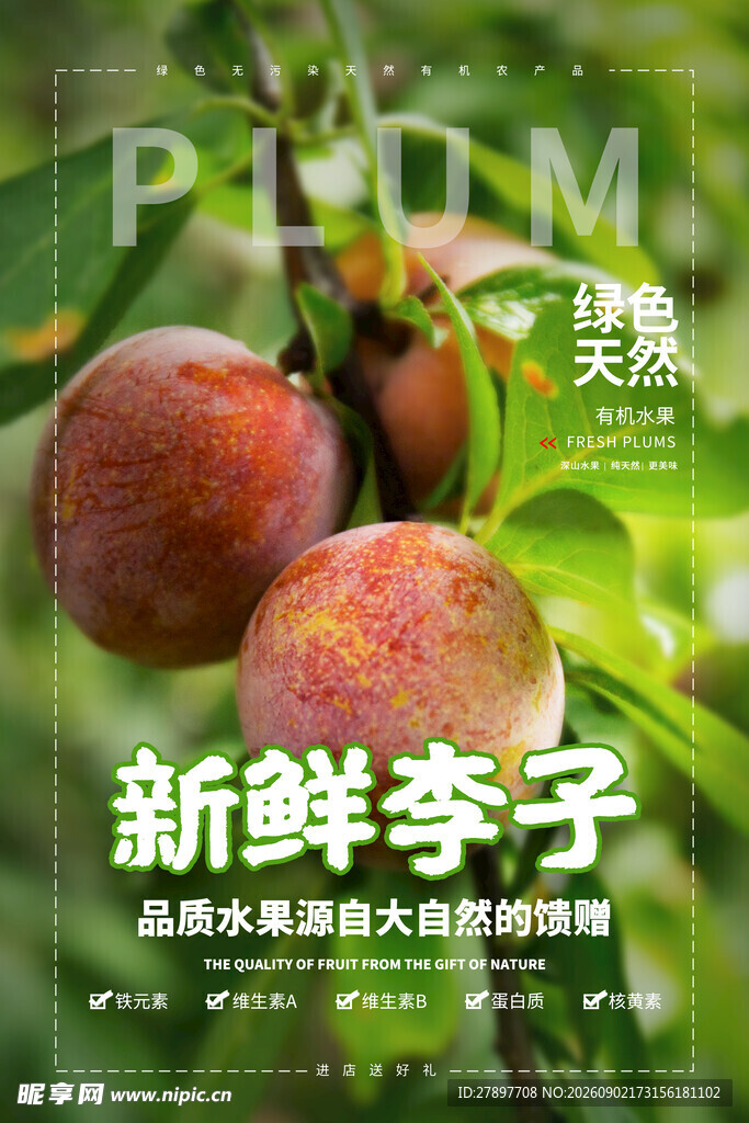 新鲜诱人的李子果实