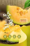 香甜哈瓜  开启味蕾新体验