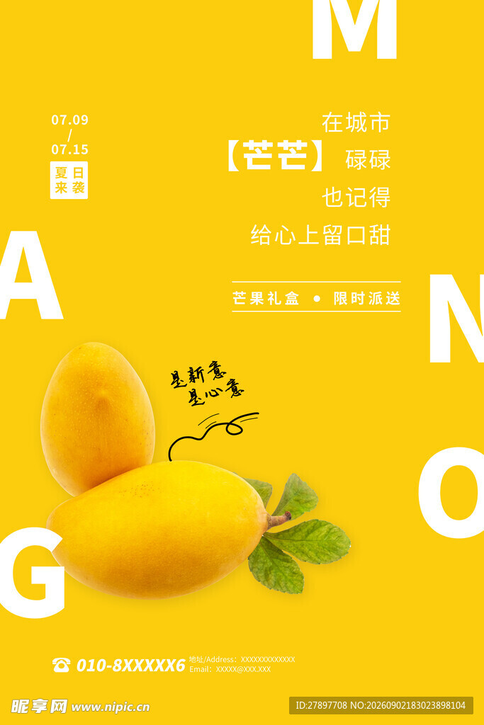 黄色背景下的新鲜芒果