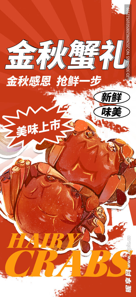 大闸蟹插画