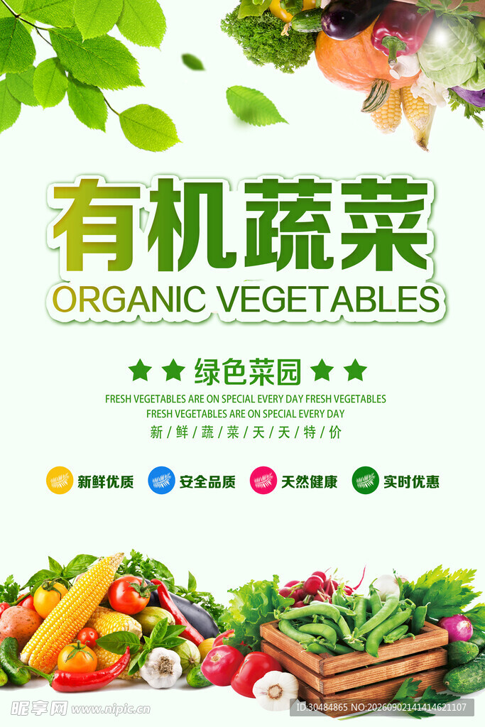 有机蔬菜