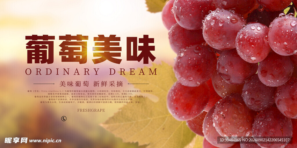 美味葡萄展板