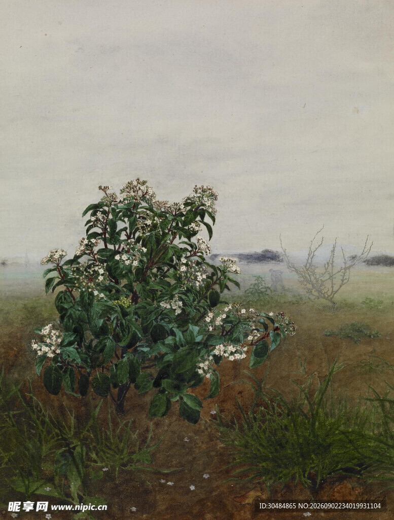 莱昂邦万水彩画