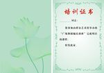 培训证书模板展示