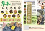 草本养发产品宣传页