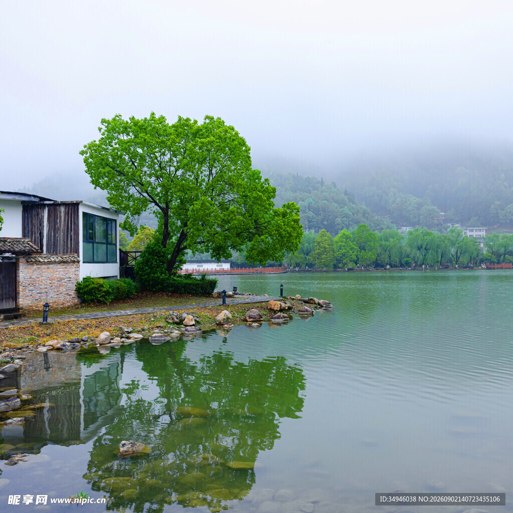 湖畔小屋绿树倒影美景