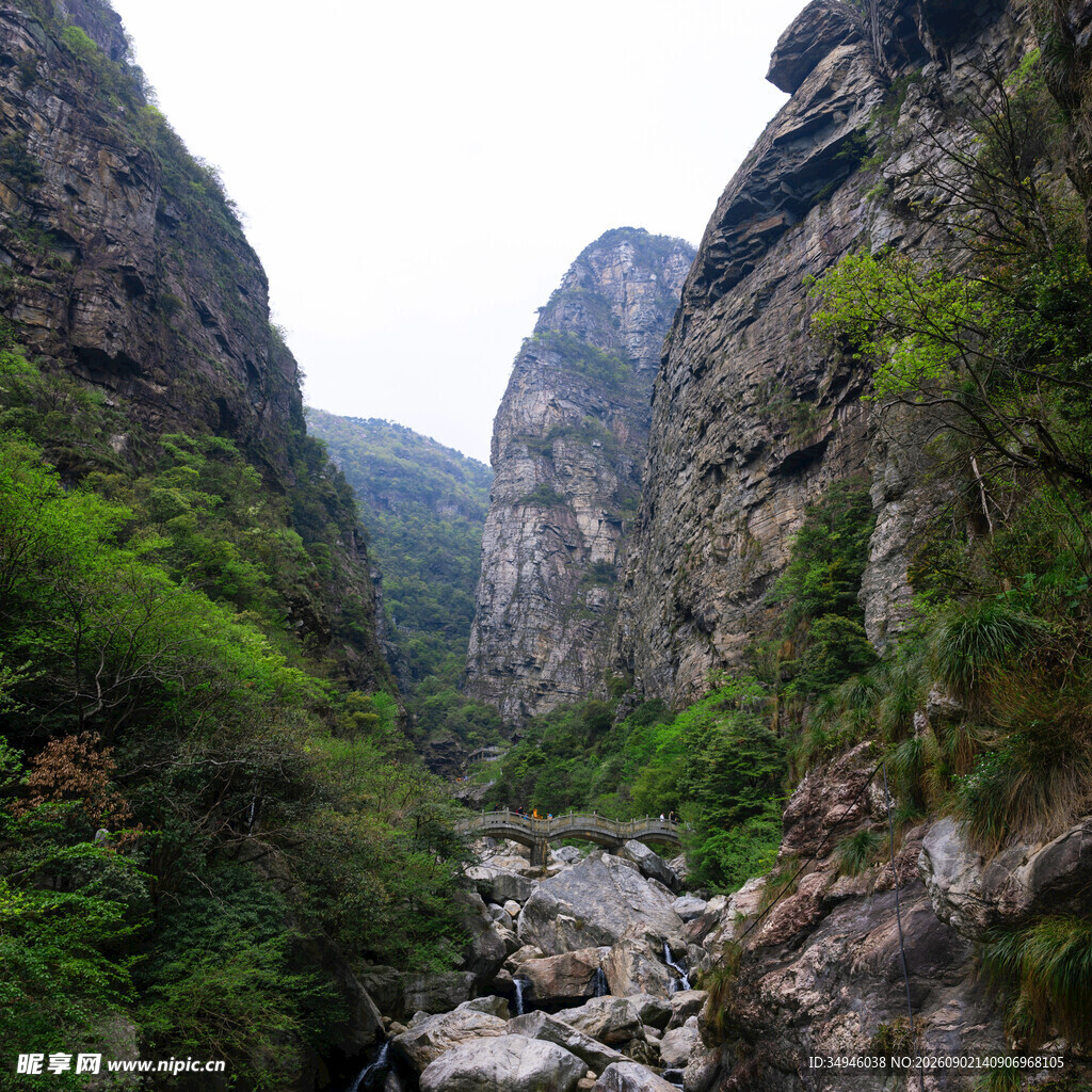 山间峡谷绿意盎然之景