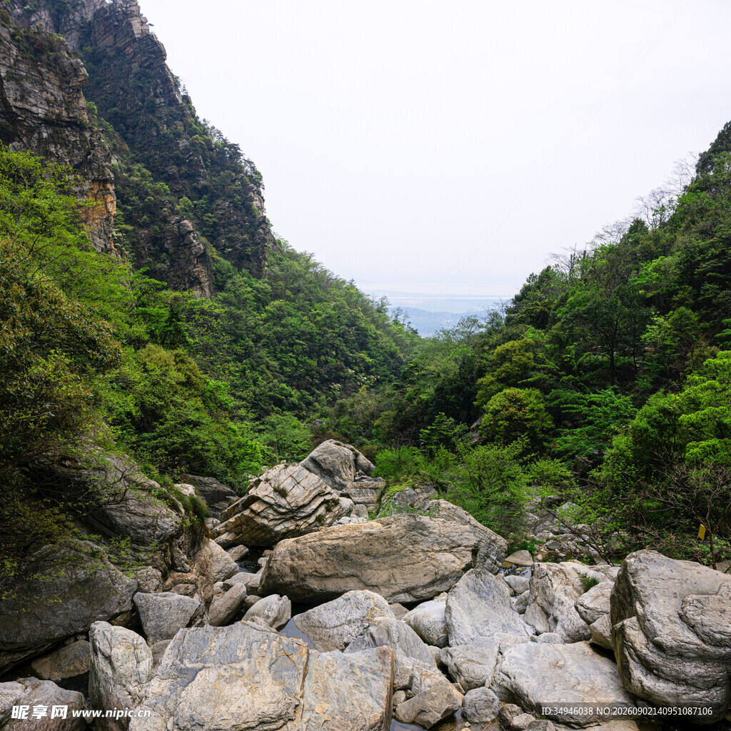 山间乱石与葱郁植被景观