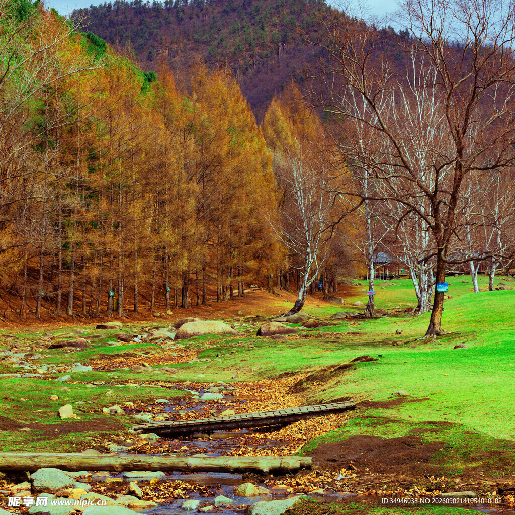 秋日山林小溪风景图