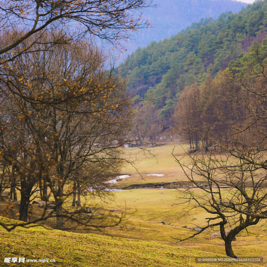 秋日山林旷野美景