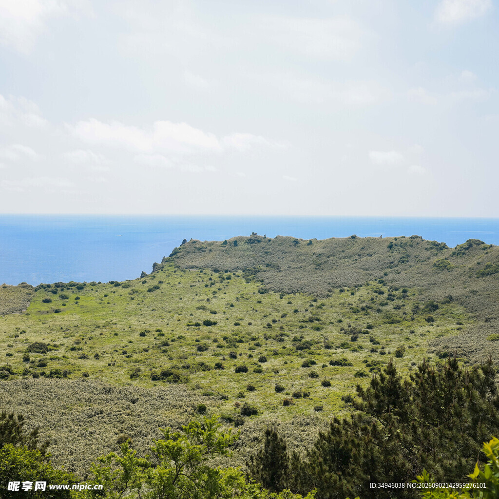 绿意盎然的山野与远方海景