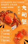 大闸蟹 