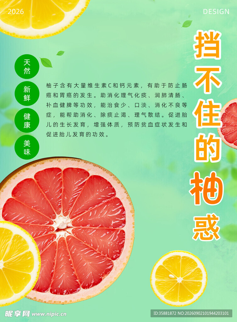 柚子海报