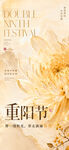 重阳节花卉主题画面