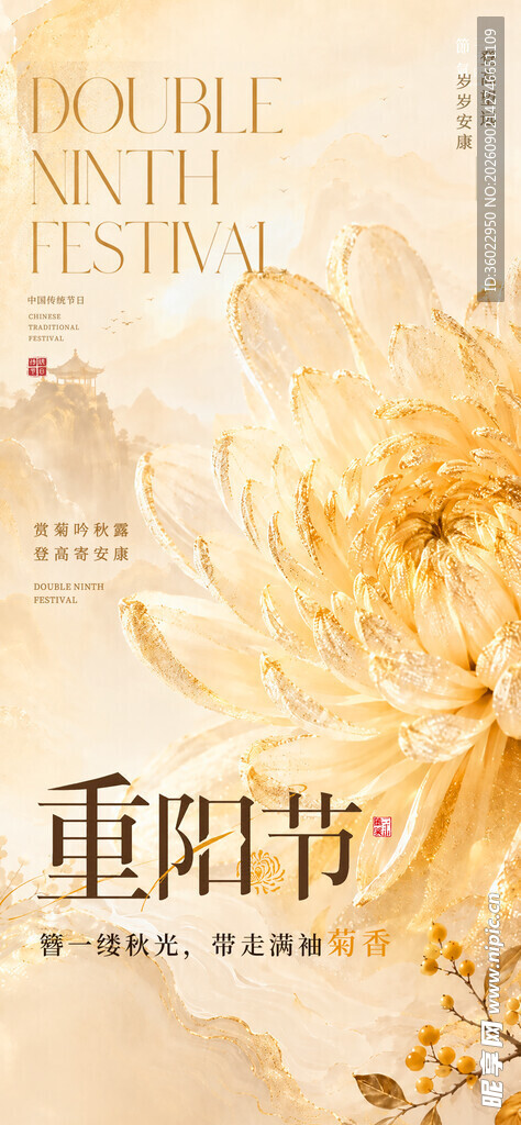 重阳节花卉主题画面