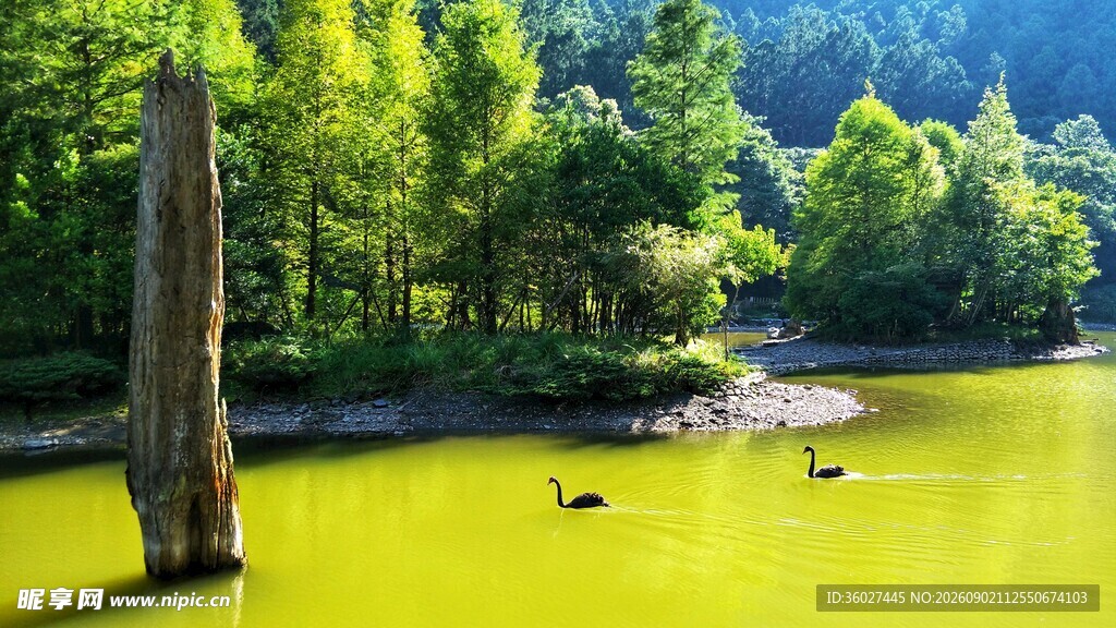 山林间的碧绿湖水与飞鸟