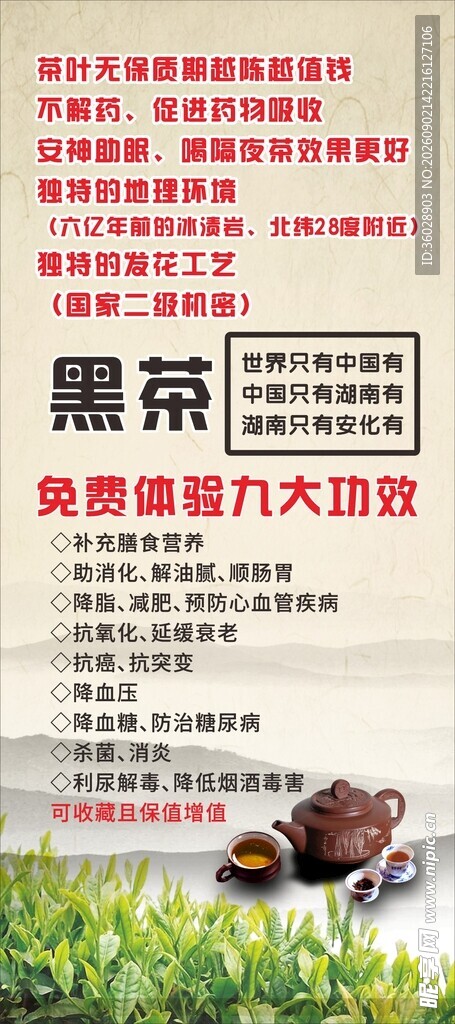 黑茶海报宣传展架