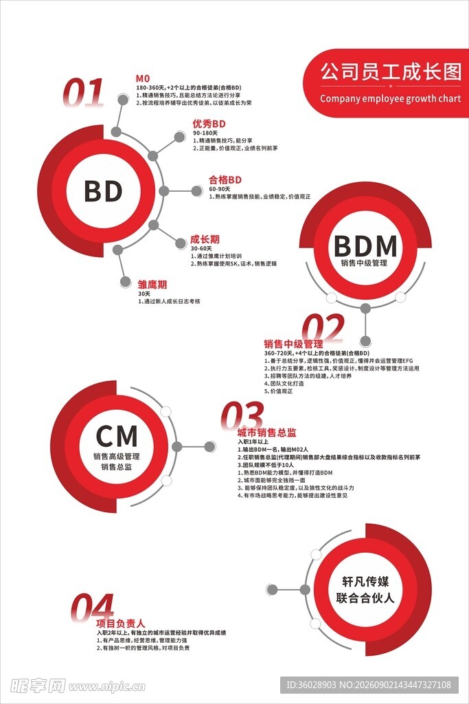 商务流程图表展示
